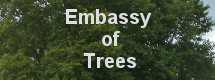 Embassy Of Trees