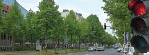 Bonner Straße